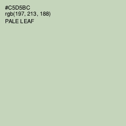 #C5D5BC - Pale Leaf Color Image